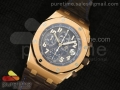 Royal Oak Offshore JF Best Edition "Pride of Argentina" on Brown Leather Strap A7750